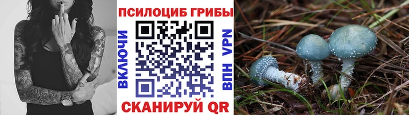 Галлюциногенные грибы прущие грибы  купить наркотики цена  Струнино 
